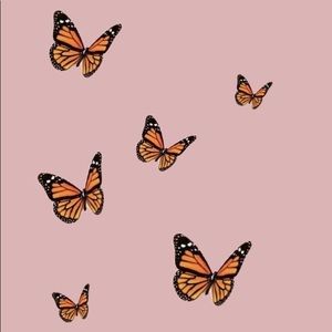 Meet your Posher, Victoria